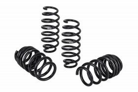 Eibach Tesla Model 3 Long Range AWD Pro-Kit Lowering Springs 2017 - 2023