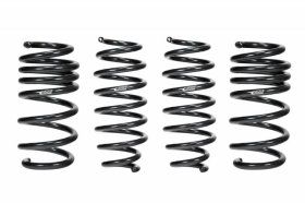 Eibach Tesla Model 3 Performance AWD Pro-Kit Lowering Springs 2017 - 2019